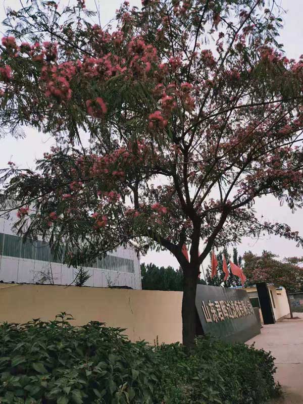企業(yè)廠景